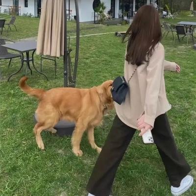 搭错线